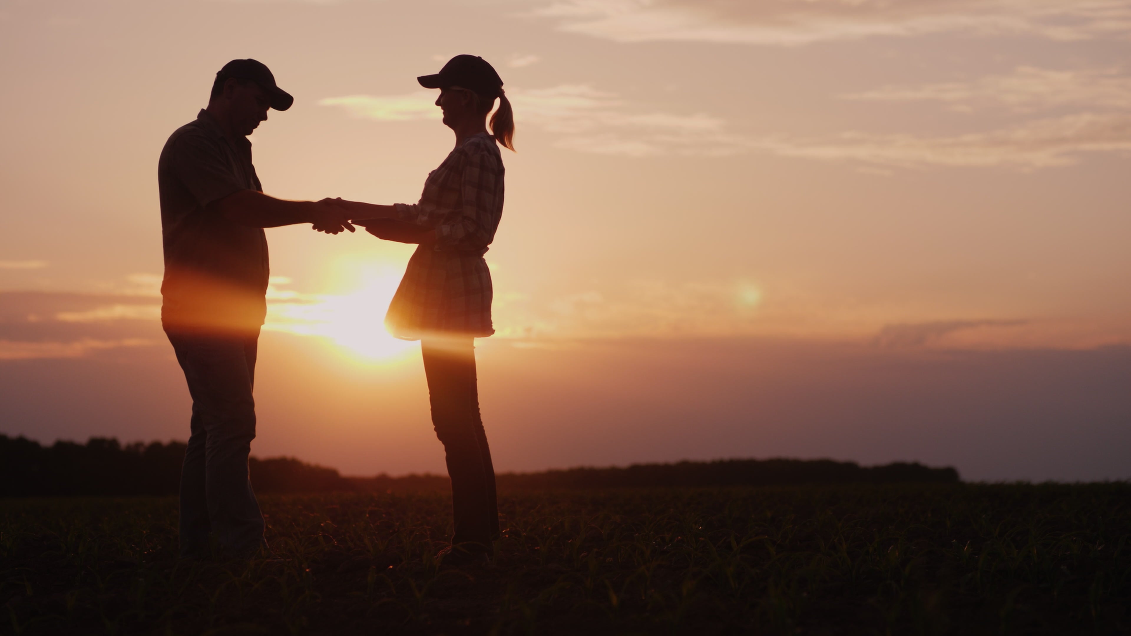 handshake